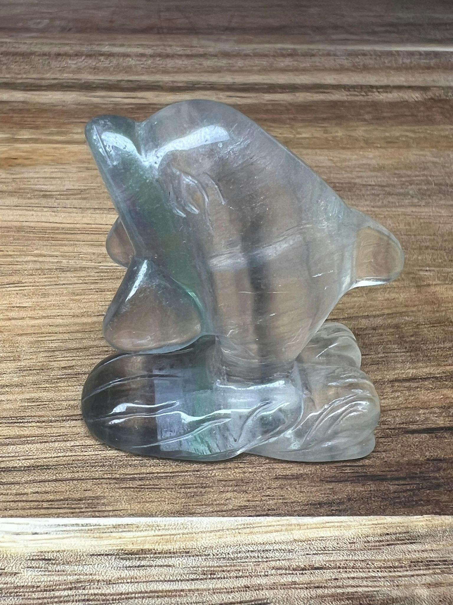 Delfin Fluorit