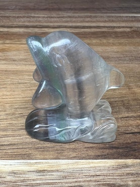 Delfin Fluorit