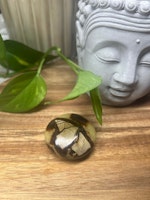 Septarian Draksten A