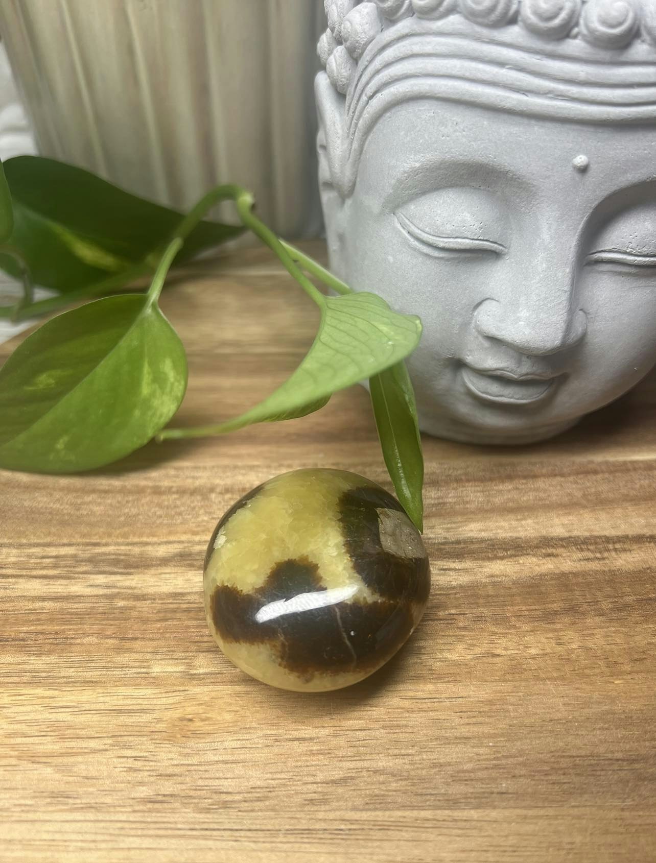 Septarian Draksten B
