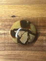 Septarian Draksten A