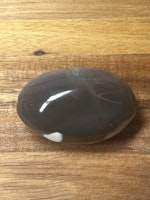 Orca agat A
