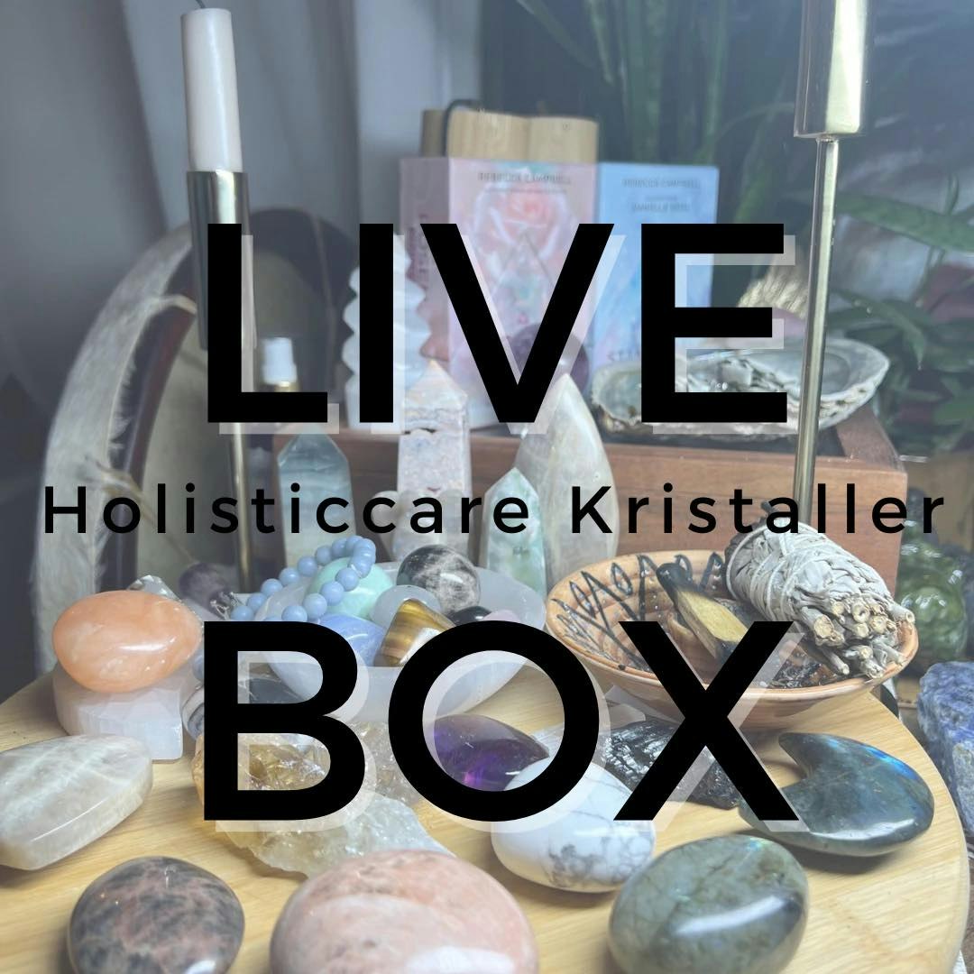 LIVEBOX #27