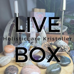 LIVEBOX #37