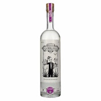 Los Siete Misterios ESPADIN Mezcal 48% Vol. 0,7l