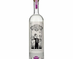 Los Siete Misterios ESPADIN Mezcal 48% Vol. 0,7l