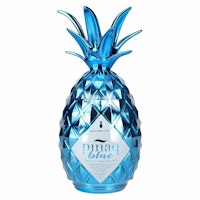 Piñaq BLUE Liqueur 17% Vol. 1l