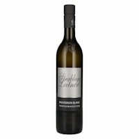 Strablegg-Leitner Sauvignon Blanc Panoramaedition 2022 12,5% Vol. 0,75l