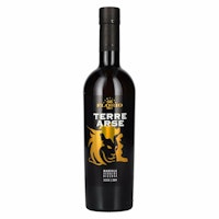 Cantine Florio TERRE ARSE Marsala Vergine Riserva Secco 2004 19% Vol. 0,5l