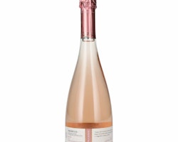 Paladin Prosecco Rosé Brut Millesimato DOC 11,5% Vol. 0,75l