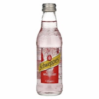 Schweppes Russian Wild Berry 24x0,2l