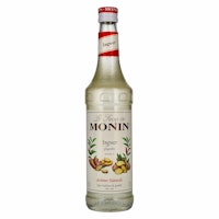 Le Sirop de Monin INGWER 0,7l