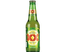 DOS EQUIS XX Lager Beer 4.2% Vol 24x0,355l