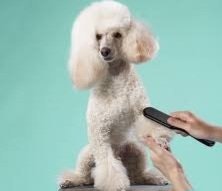 Cut&Care