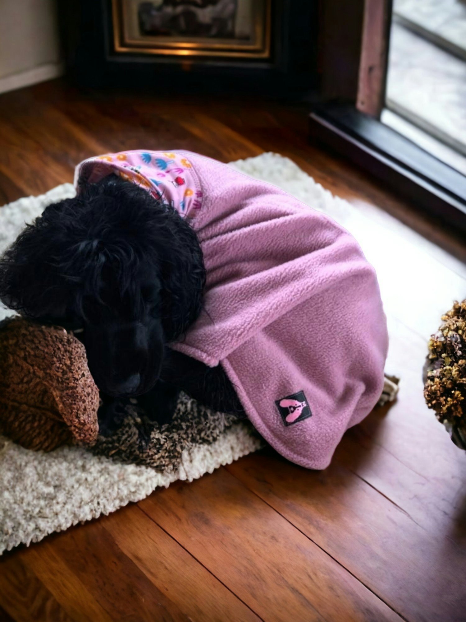 Cocker Spaniel