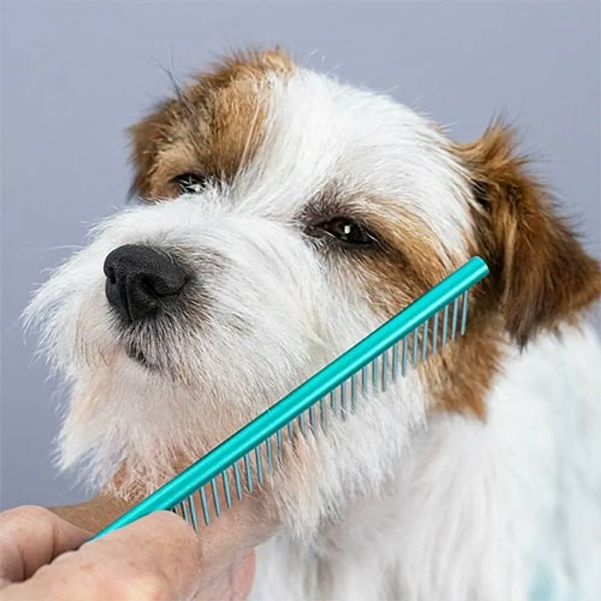 Cut&Care