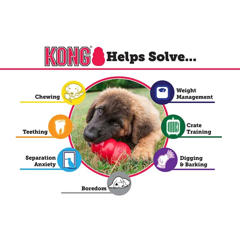Kong Puppy Blå XS-L