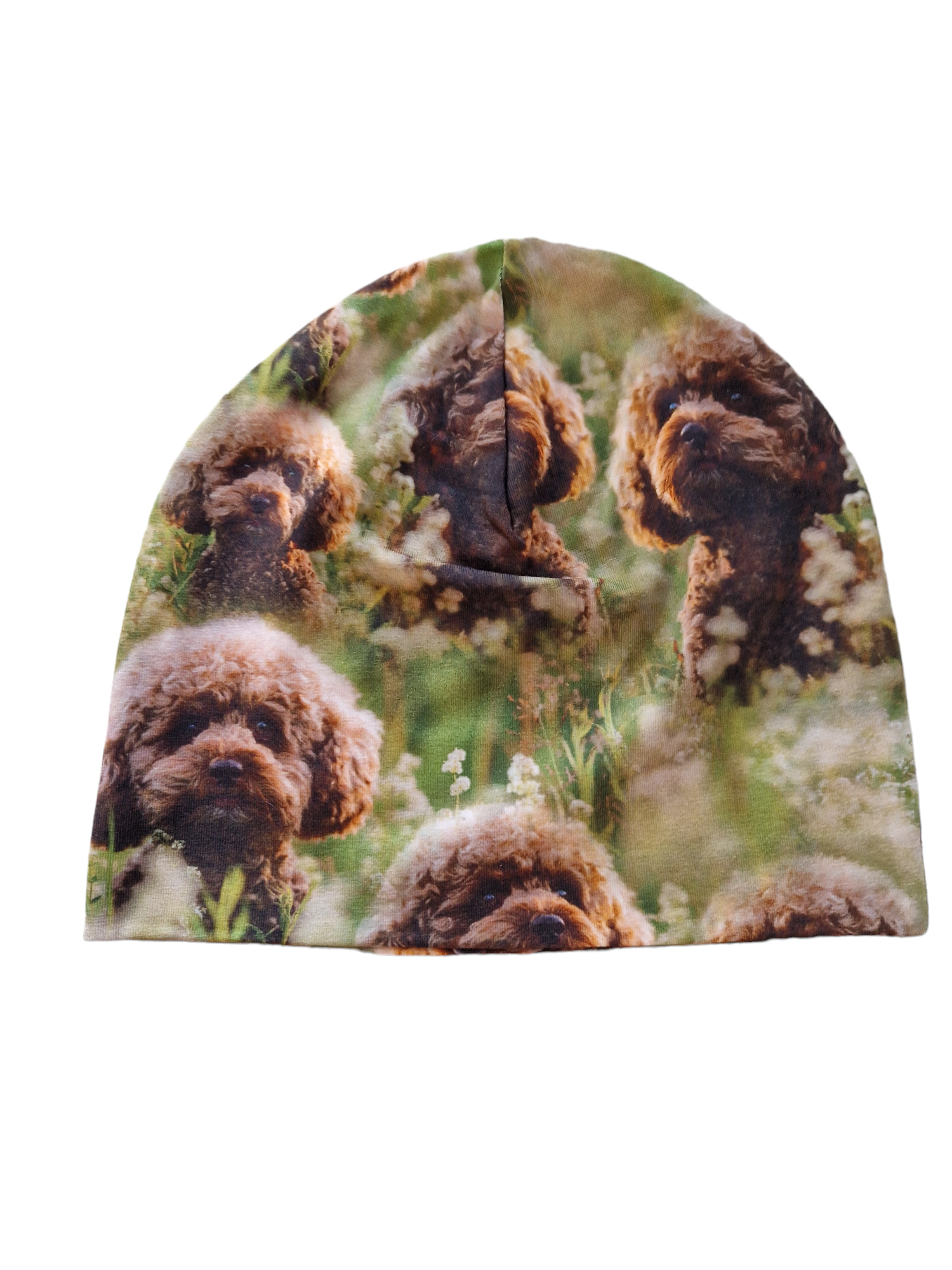 Lue Cockapoo M