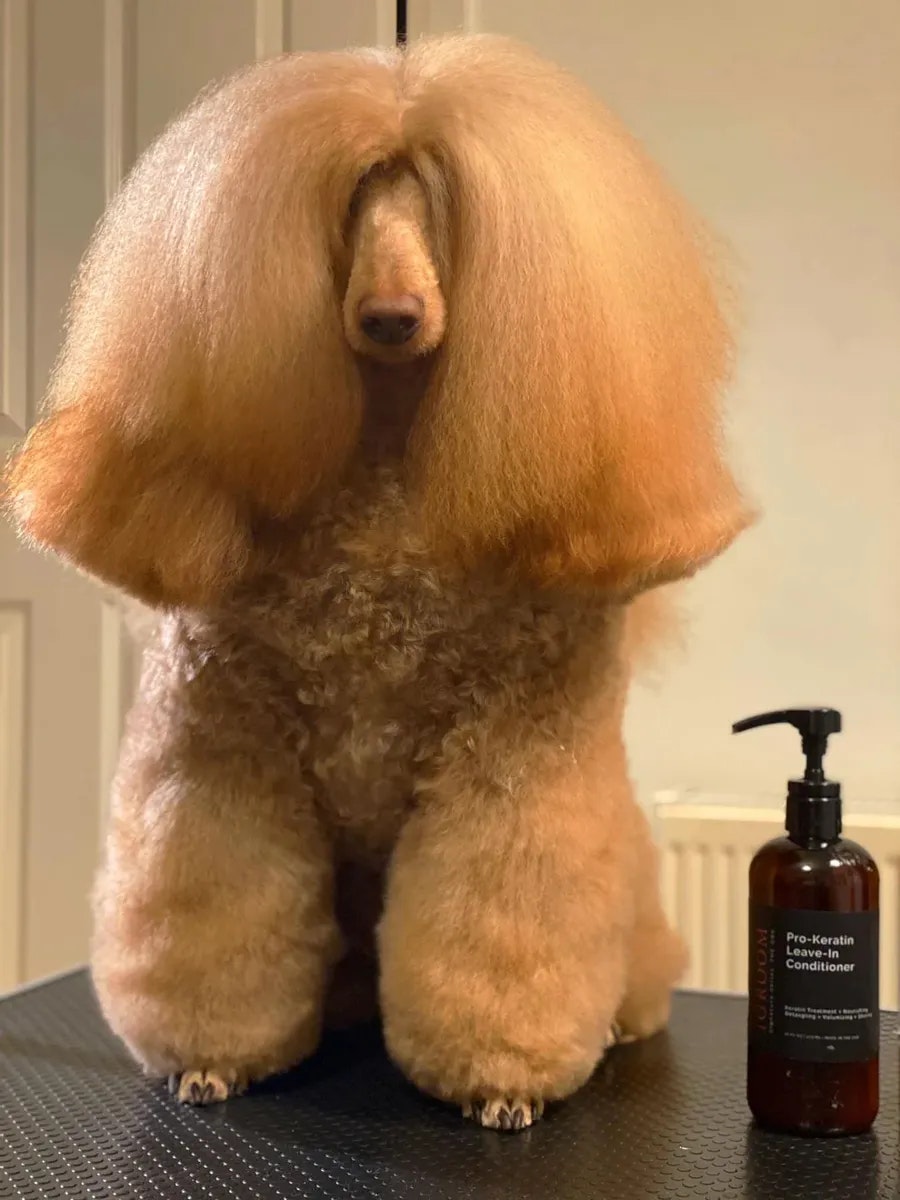 IGROOM - Pro-Keratin Leave-In Conditioner 473ml