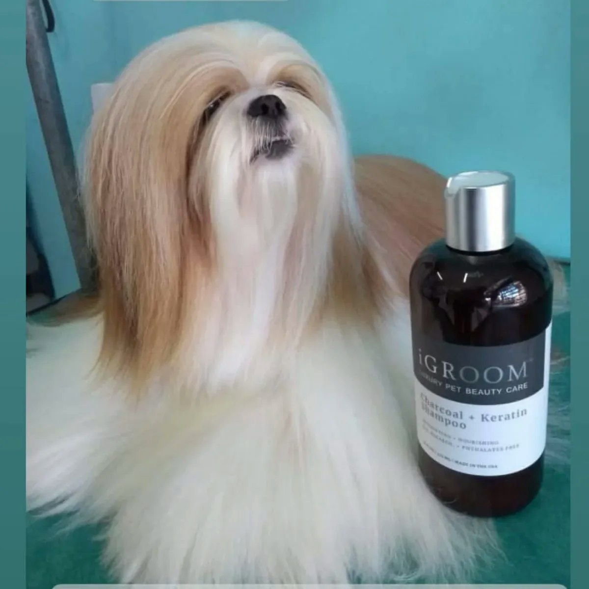 IGROOM - Charcoal + Keratin Conditioner 473ml