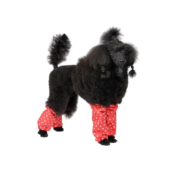ShowTech - Leggings Polka Dots for Standard Poodle