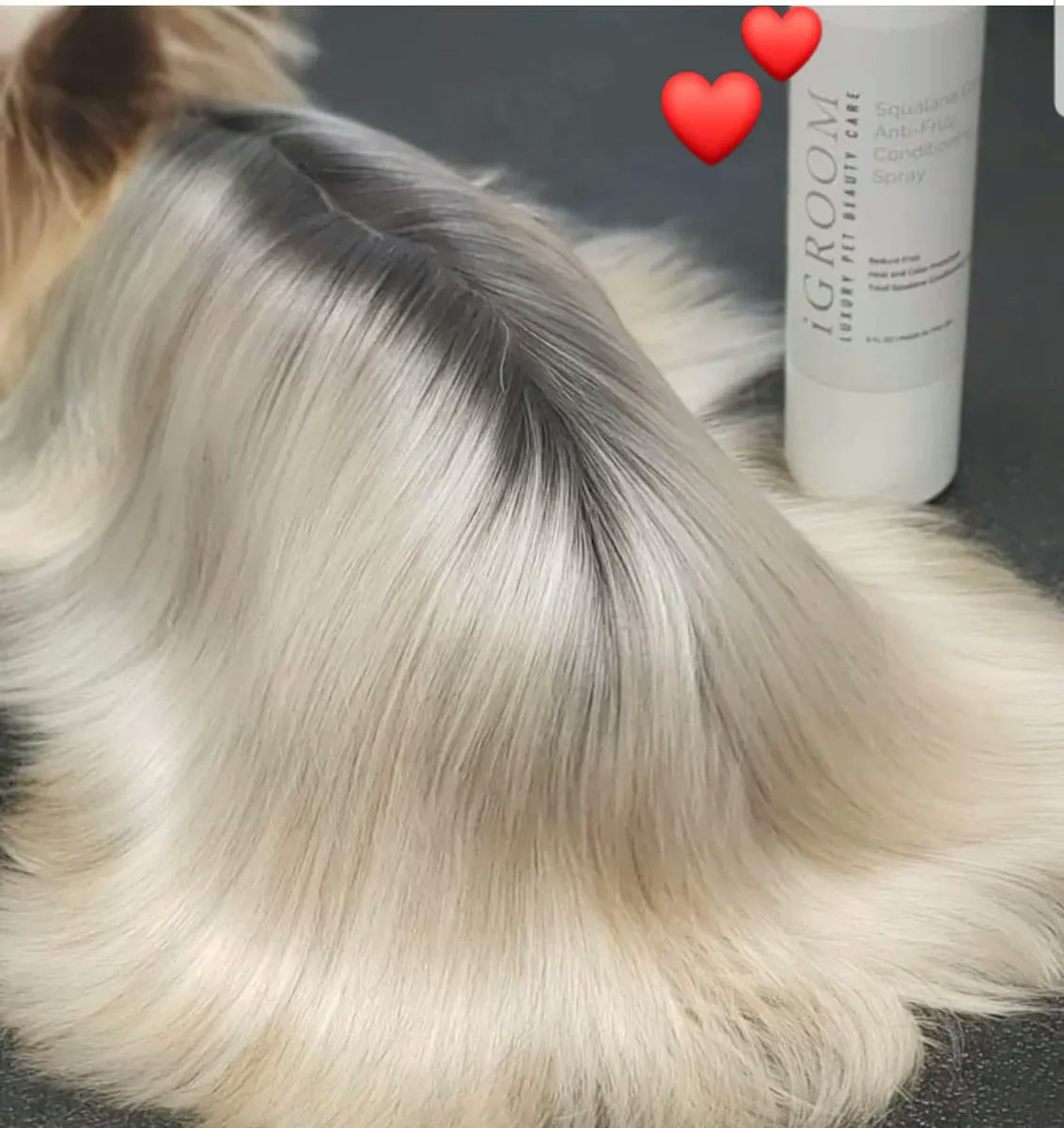 iGROOM Antifrizz Spray 178ml