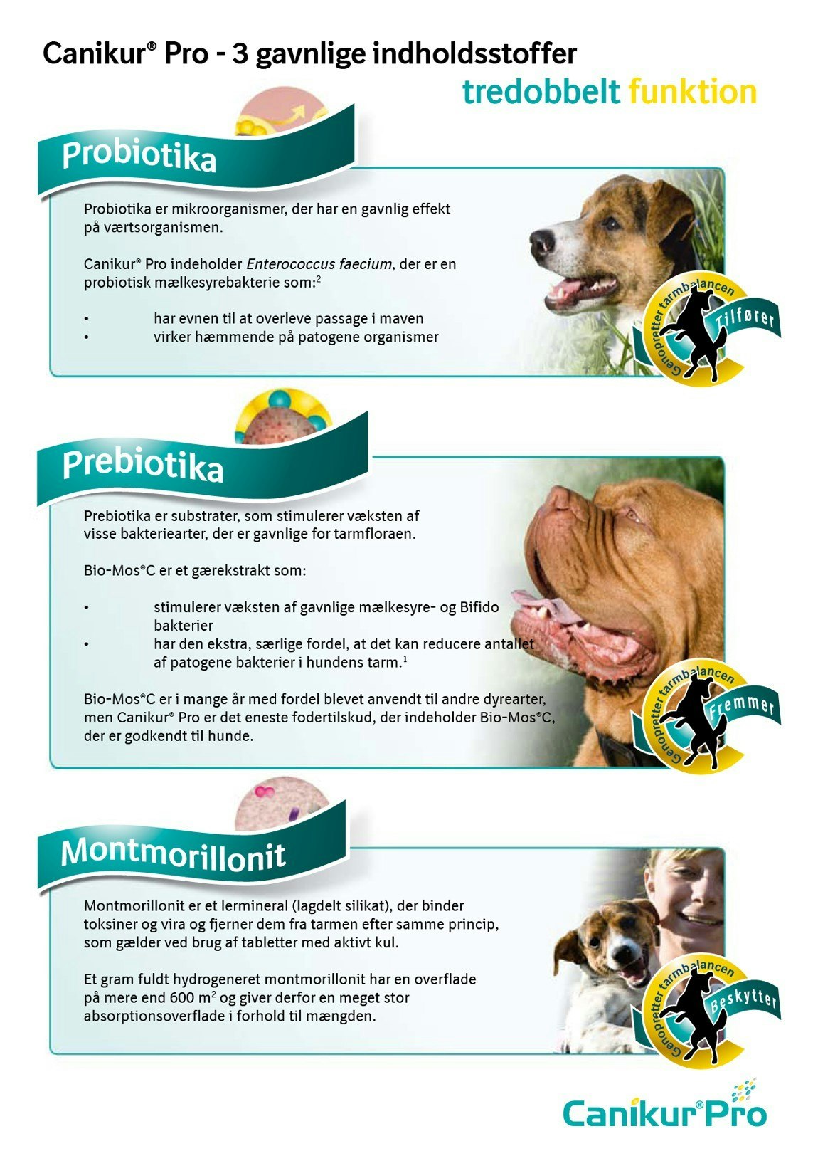 Canikur Pro Oral Pasta 30ml