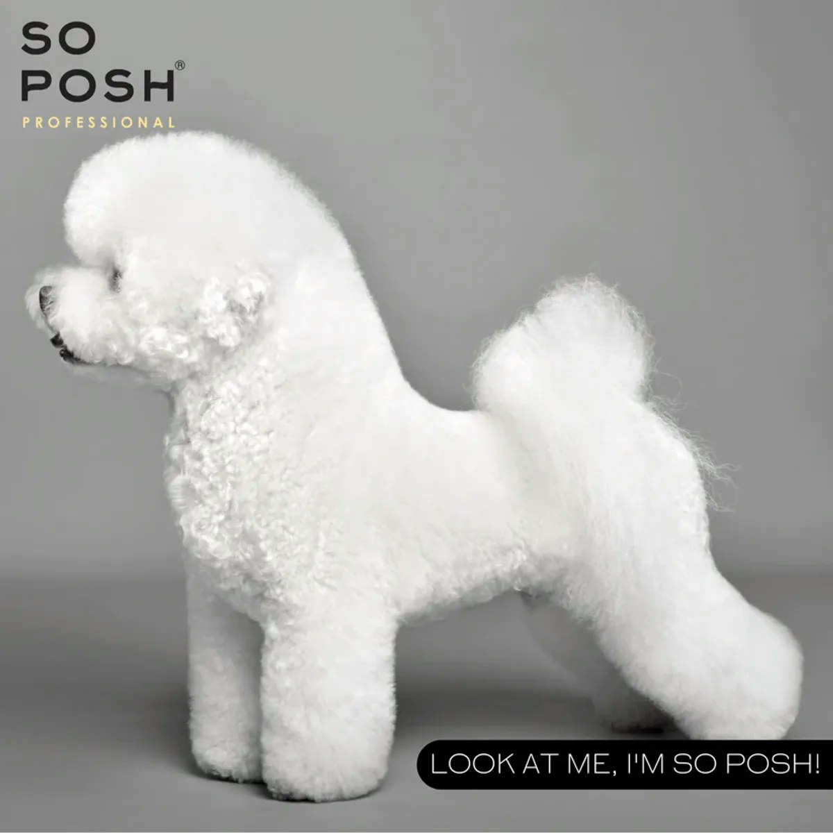 So Posh I'm So Puffy 1L. (Volume Conditioner)