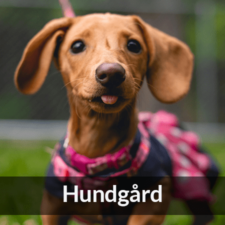 Hundgårdar - Farmab.se