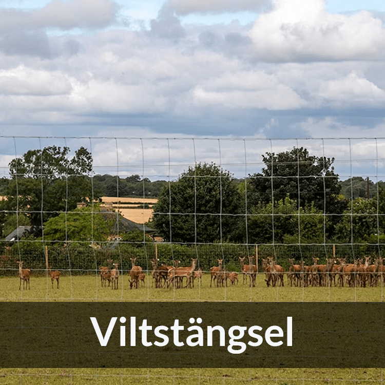 Viltstängsel - Farmab.se
