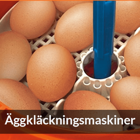 Äggkläckningsmaskiner - Farmab.se