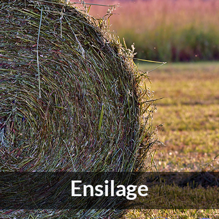 Ensilage - Farmab.se