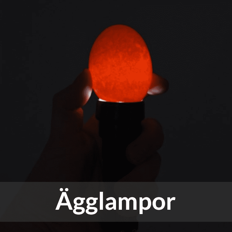 Ägglampor - Farmab.se