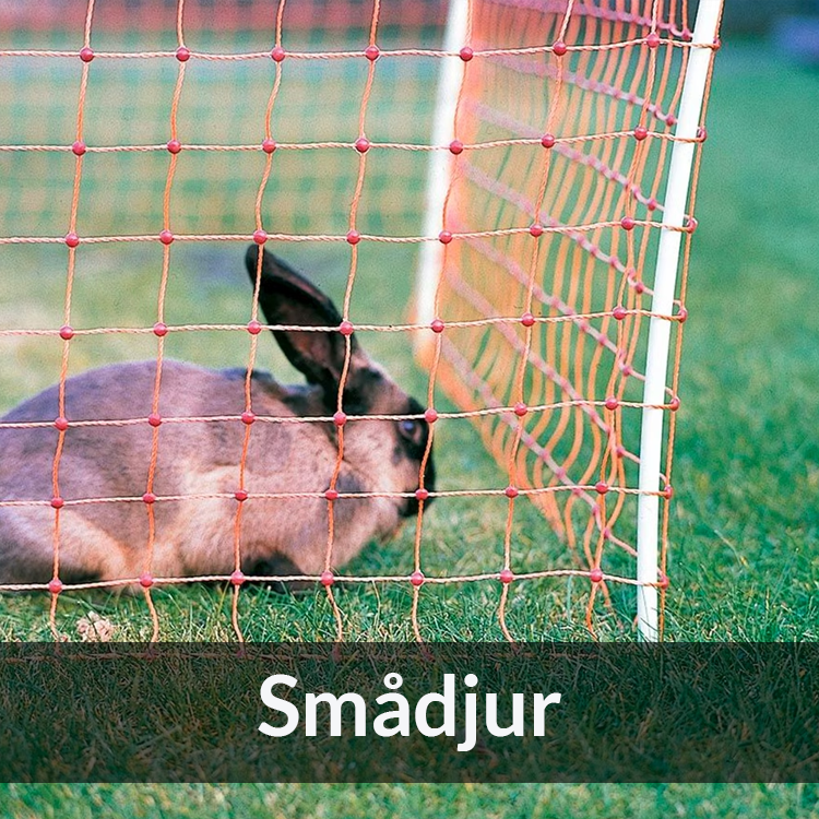 Smådjur - Farmab.se