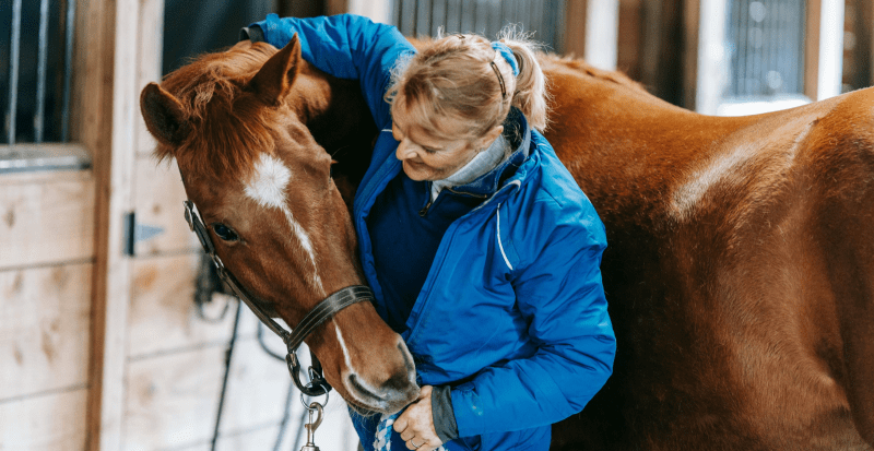 Stallövervakning med AI – Säkerhet för din häst dygnet runt