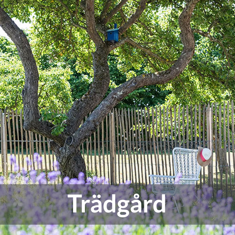 Trädgård - Farmab.se