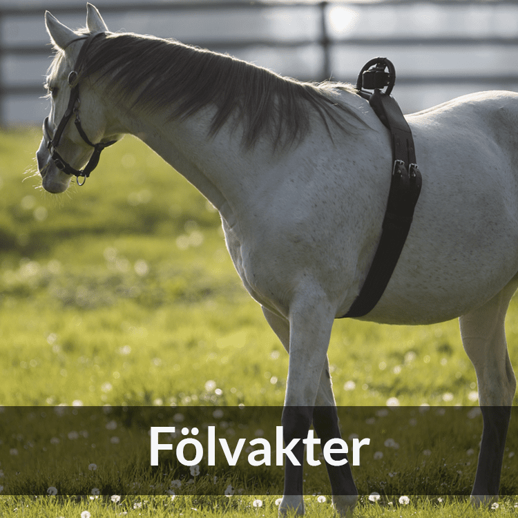 Fölvakter - Farmab.se