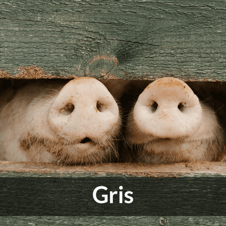 Gris - Farmab.se