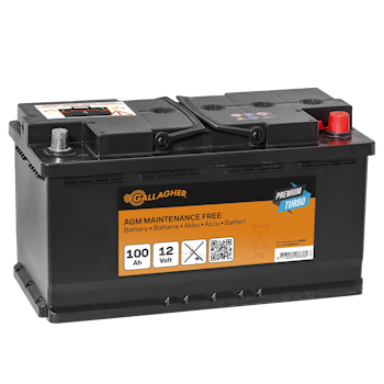 Batteri Gallagher Premium Turbo AGM 12V/100Ah - 353x175x190