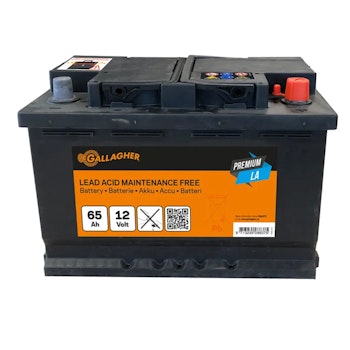 Blybatteri Gallagher Premium 12V/65Ah - 242x175x190