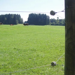 Hörnisolator Gallagher porslin rund, 6-pack