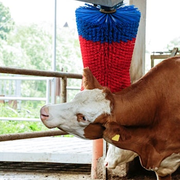 Elektrisk koryktborste Happycow Swing