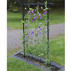 KEBAflexi-garden ramspaljé svart, 80cm