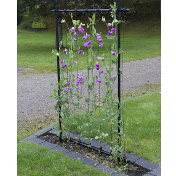 KEBAflexi-garden ramspaljé svart, 80cm