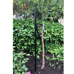 KEBAflexi-garden trädstöd 1800 mm – 1-stolpe svart