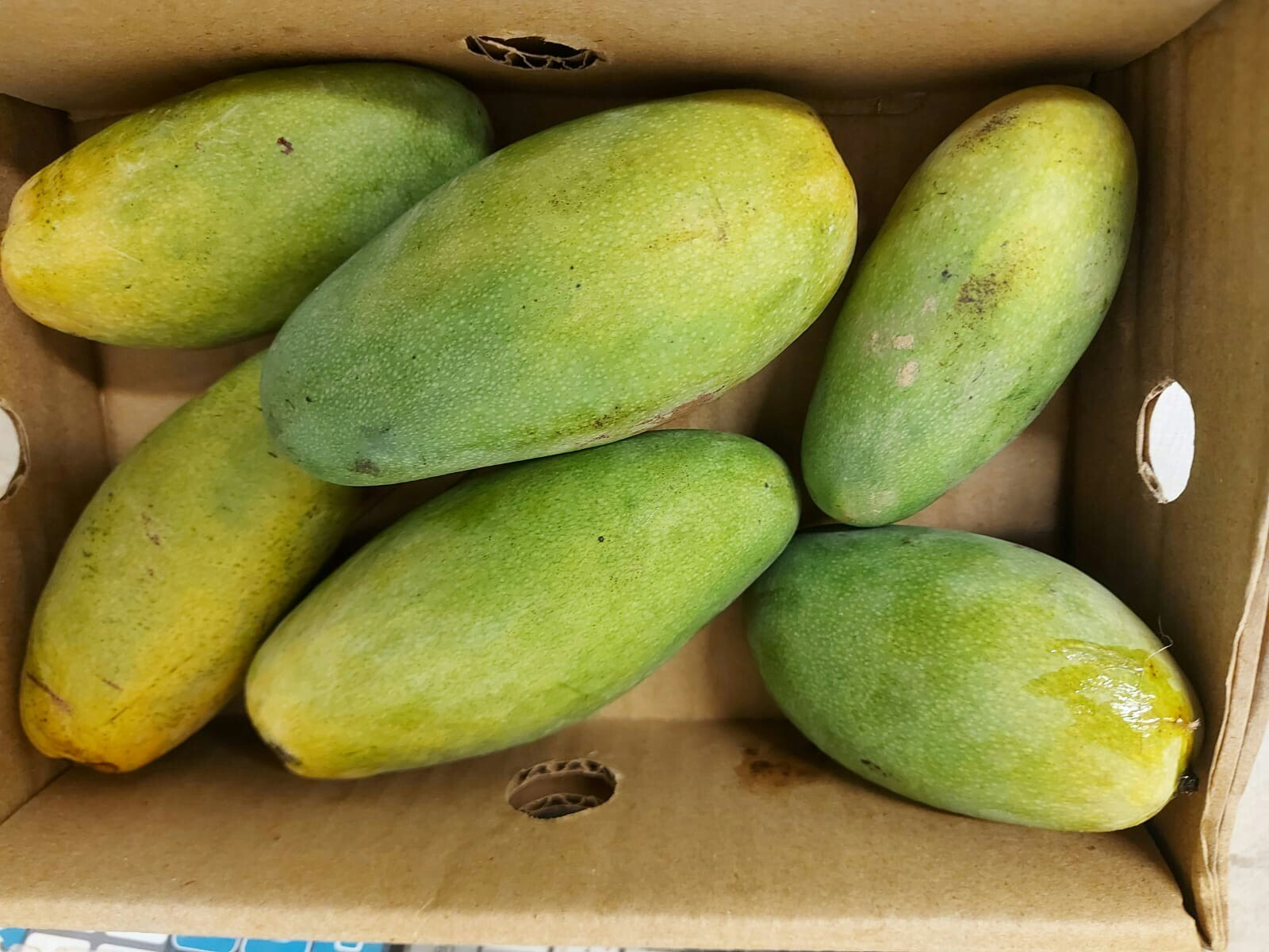 Fresh Dasheri Indian Mango  (approx  1- 1.3kg) - 4-6 pcs
