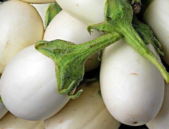 Fresh Eggplant Green 500g
