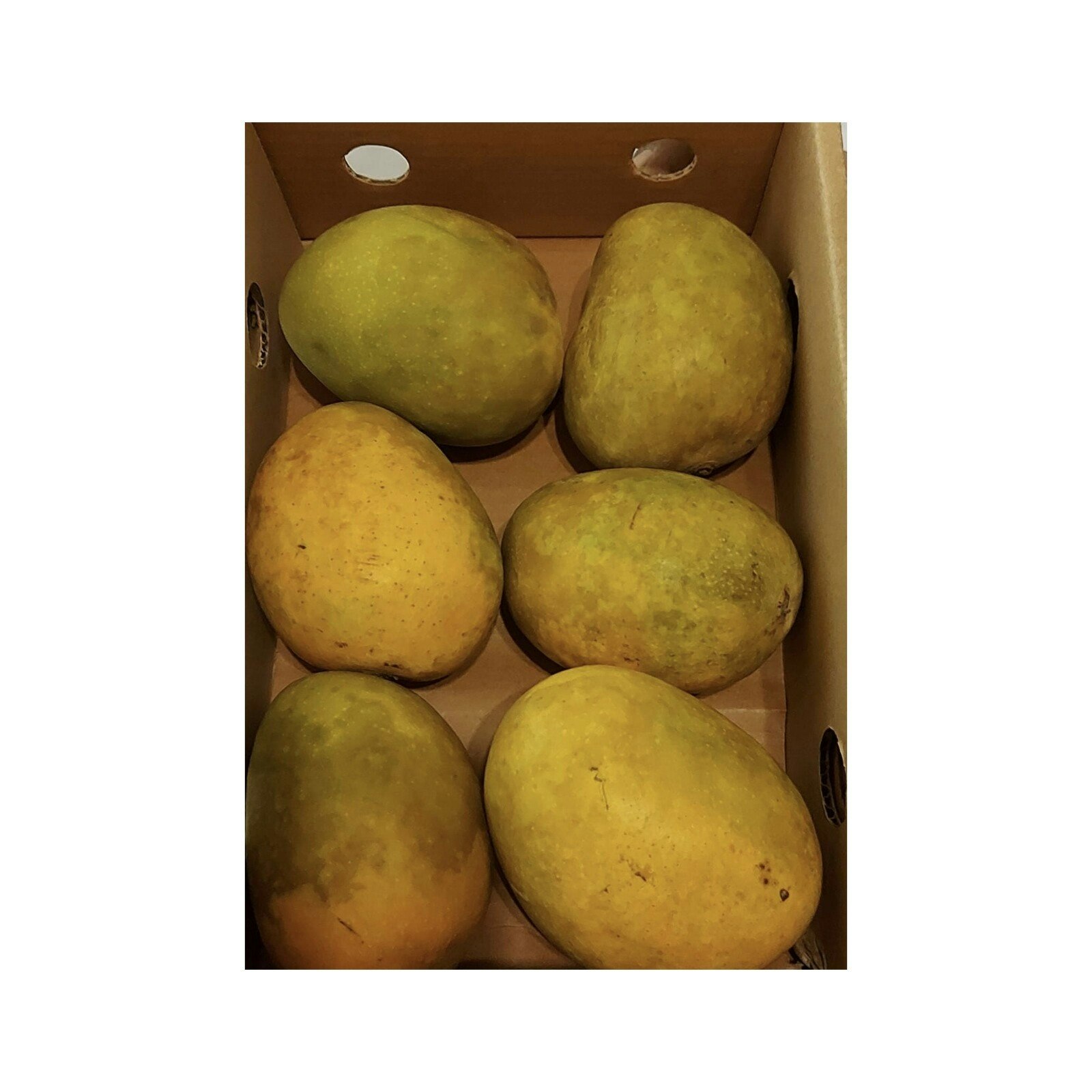 Fresh Kesar Indian Mango (Jambo) (1 Box)  (Variant 3)