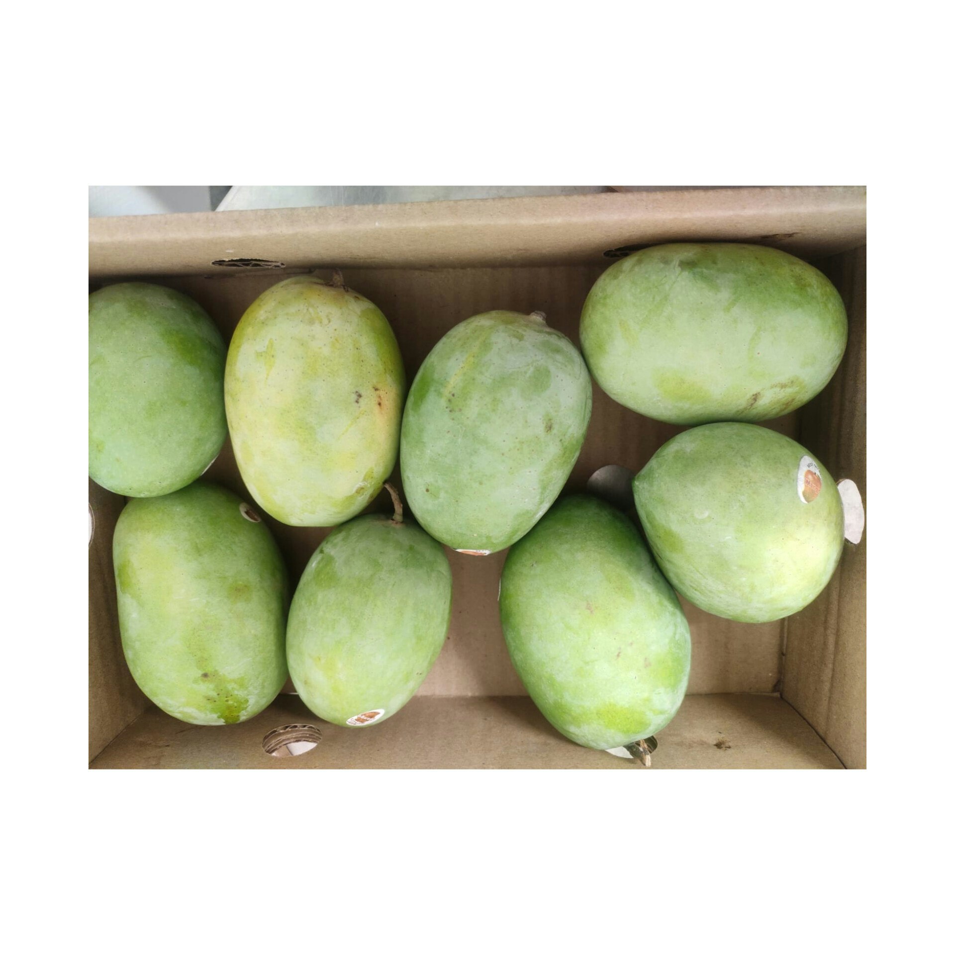 Fresh Langra Mango 1 Box (approx  1- 1.5 kg) - 4 pcs