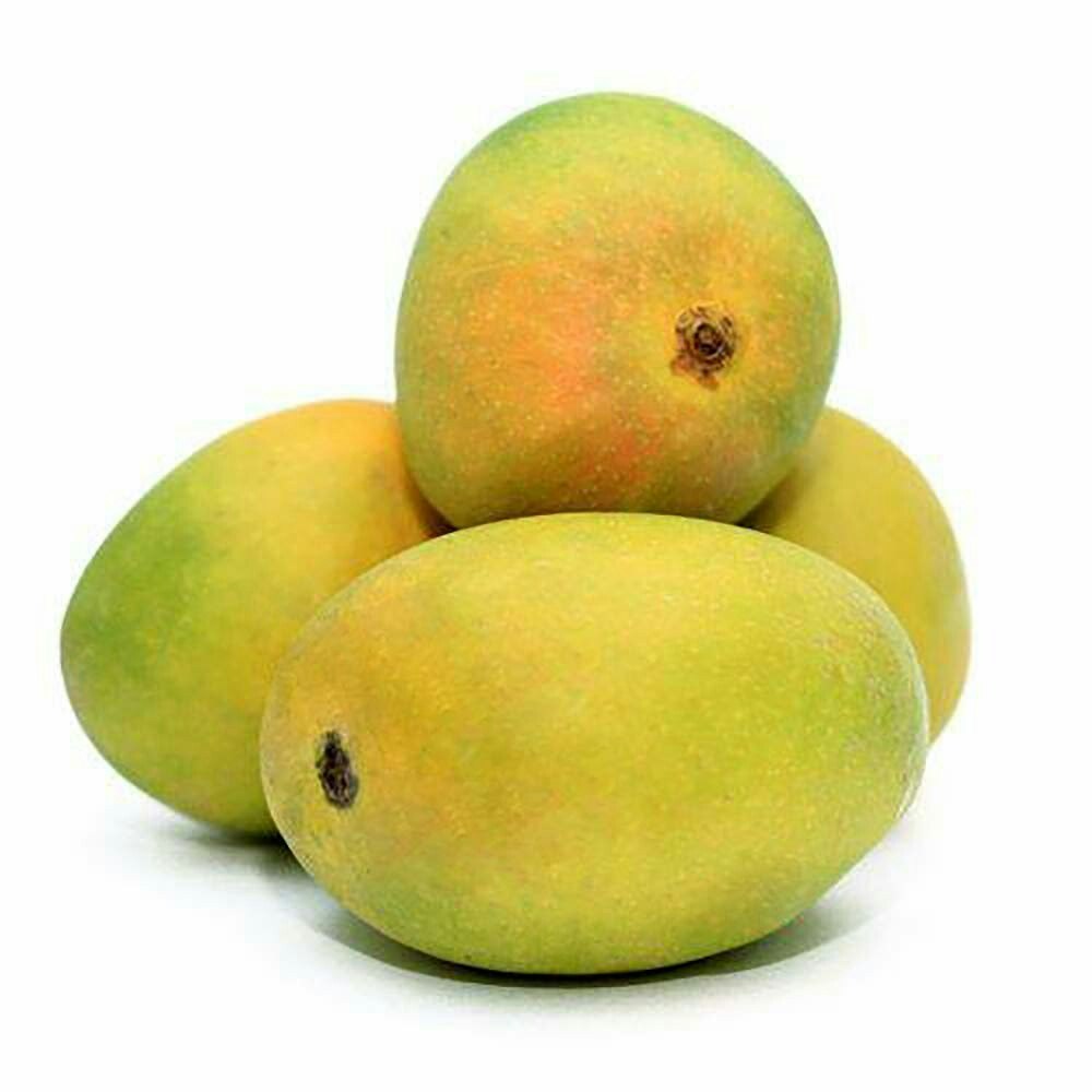 Fresh Payri Mango Indian 1 Kg (3 to 4 pieces) (Approx)